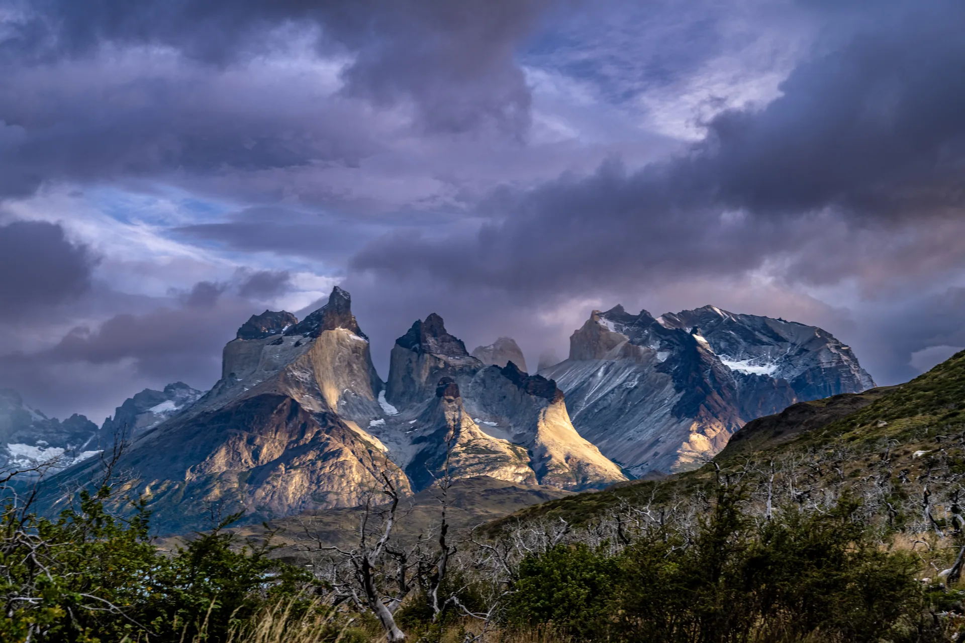 Masyw Cuernos del Paine pod ciężkimi chmurami; na pierwszym planie roślinność